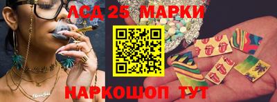 индика Моздок