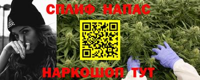 ешки Можга