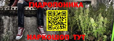 ешки Можга